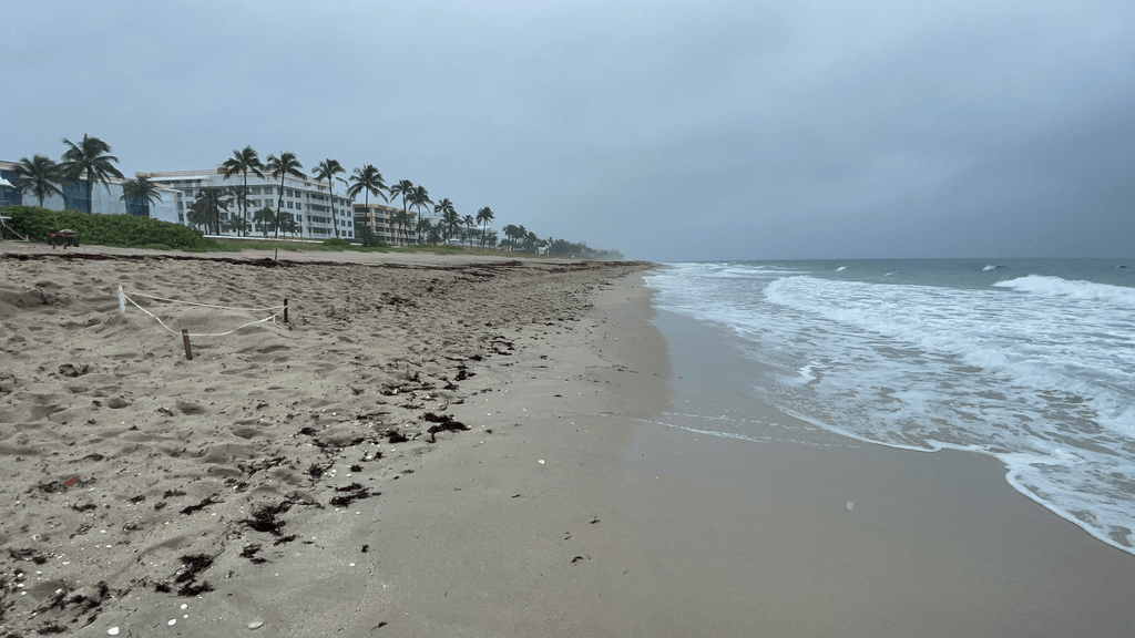 How Cannabis Stigma Is Gradually Fading Across Florida